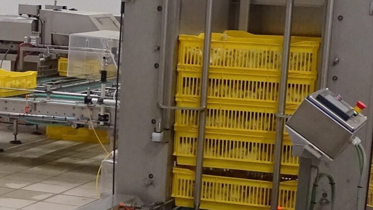 Empileur de paniers d’éclosion