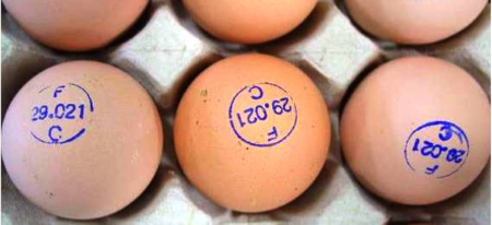 Marquage des oeufs
